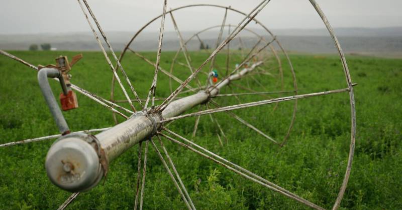 Wheel line irrigation in a field